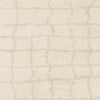 Wynne Modern Beige Area Rug