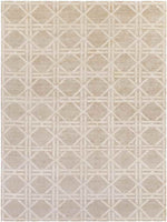 Yampa Modern Beige Area Rug