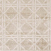 Yampa Modern Beige Area Rug