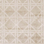 Yampa Modern Beige Area Rug
