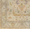 Grandview Traditional Beige Area Rug