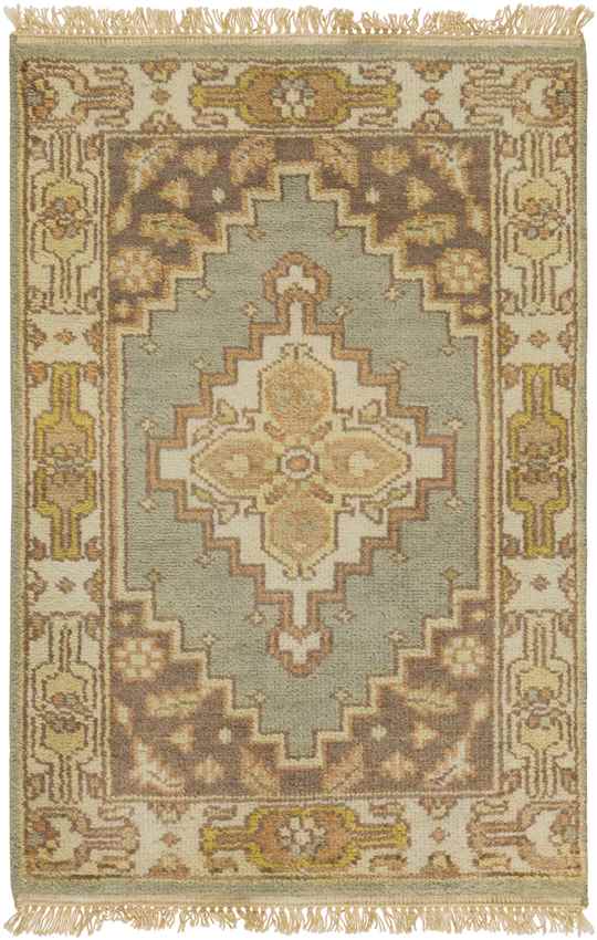 Antony Traditional Peach Area Rug