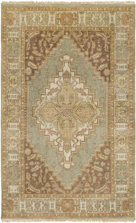Antony Traditional Peach Area Rug