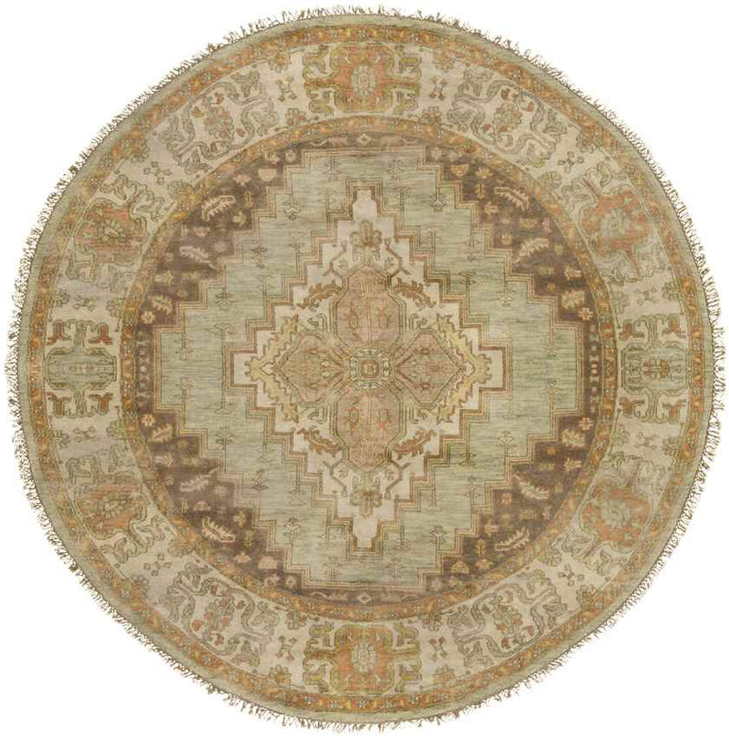 Antony Traditional Peach Area Rug