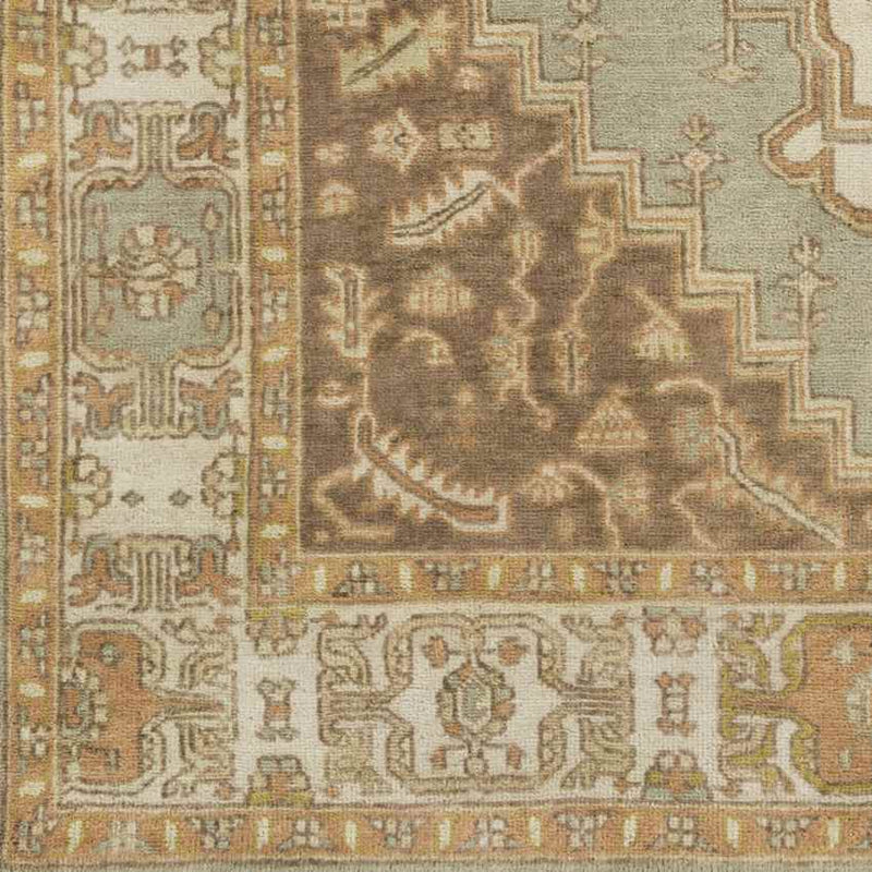 Antony Traditional Peach Area Rug