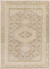 Scafati Traditional Beige Area Rug