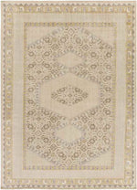 Scafati Traditional Beige Area Rug