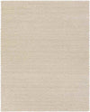 Diss Modern Beige Area Rug