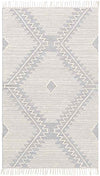 Maryport Global Medium Gray Area Rug