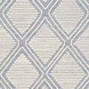 Masham Global Denim Area Rug