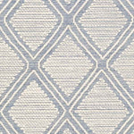 Masham Global Denim Area Rug