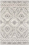 Sudbury Global Medium Gray Area Rug