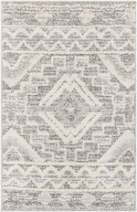 Sudbury Global Medium Gray Area Rug