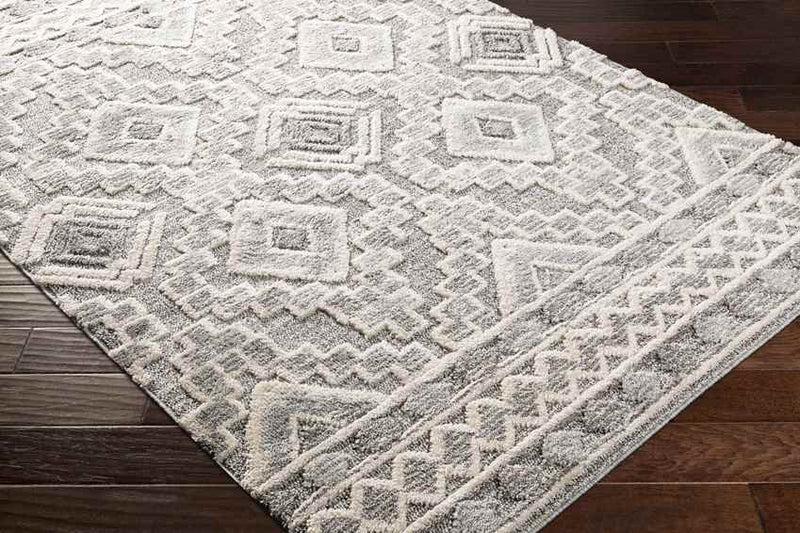 Sudbury Global Medium Gray Area Rug