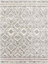 Sudbury Global Medium Gray Area Rug