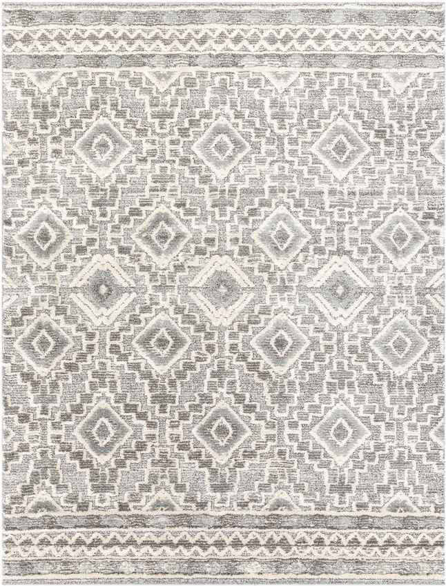Sudbury Global Medium Gray Area Rug