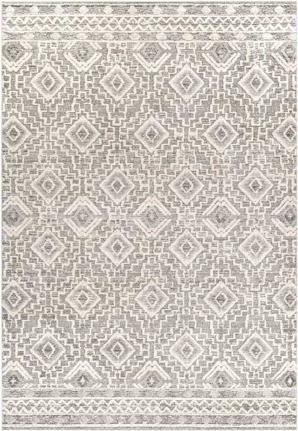 Sudbury Global Medium Gray Area Rug