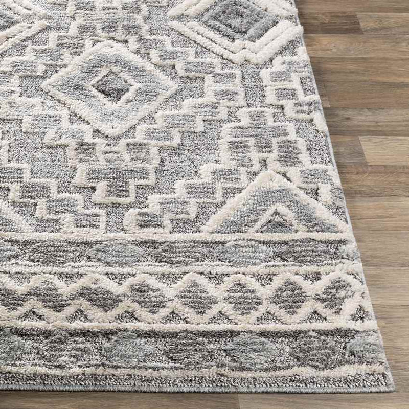 Sudbury Global Medium Gray Area Rug