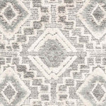 Sudbury Global Medium Gray Area Rug