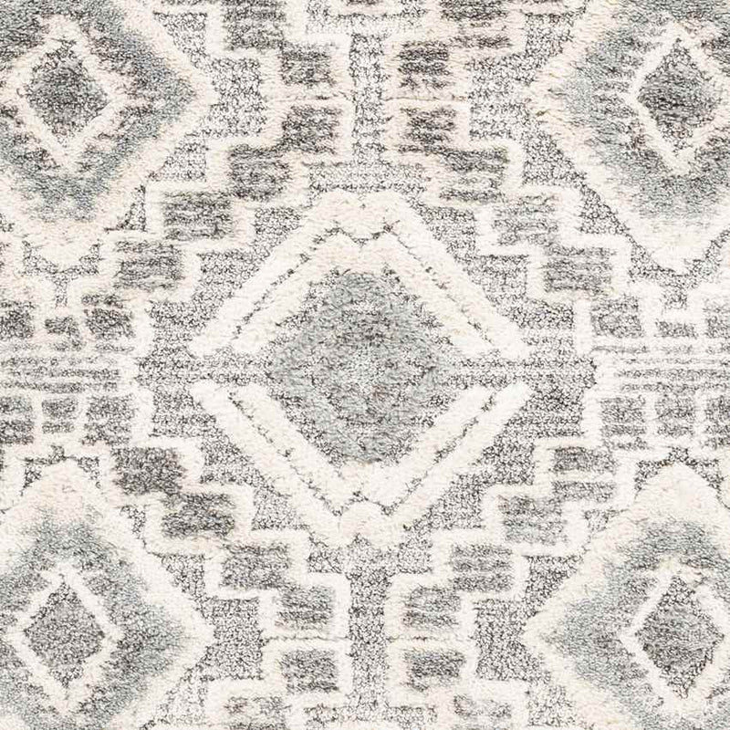 Sudbury Global Medium Gray Area Rug