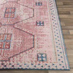 Tamworth Traditional Blush Area Rug