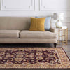 Paris Traditional Burgundy Area Rug