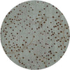 Le Havre Cottage Sage Area Rug