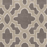 Aveyron Modern Medium Gray Area Rug