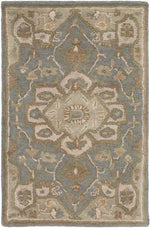 Roblin Traditional Medium Gray Area Rug