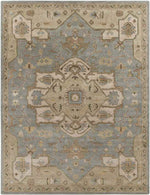 Roblin Traditional Medium Gray Area Rug