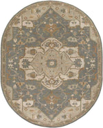 Roblin Traditional Medium Gray Area Rug