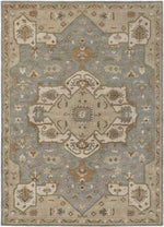 Roblin Traditional Medium Gray Area Rug