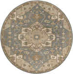 Roblin Traditional Medium Gray Area Rug