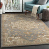 Roblin Traditional Medium Gray Area Rug