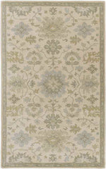 Ness Traditional Beige Area Rug