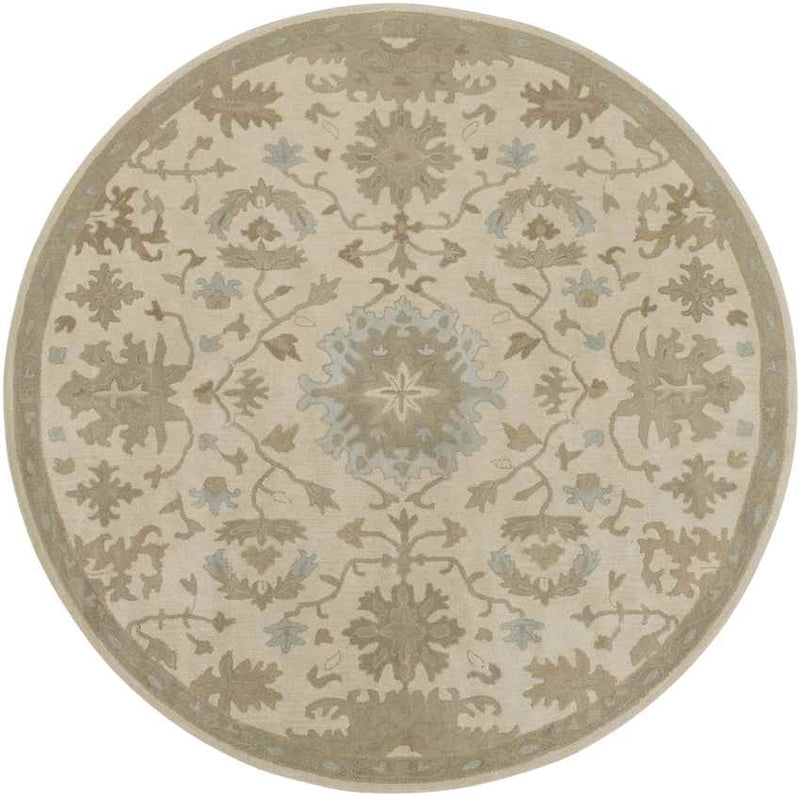 Ness Traditional Beige Area Rug