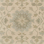 Ness Traditional Beige Area Rug