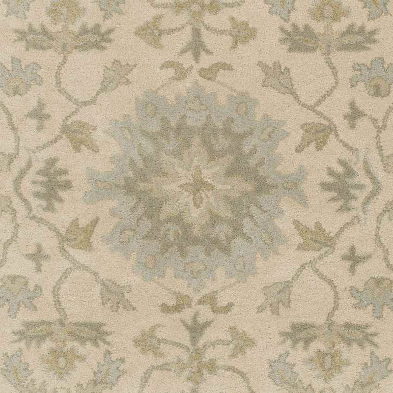 Ness Traditional Beige Area Rug