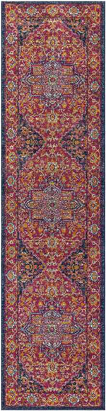 Aquaforte Traditional Garnet Area Rug