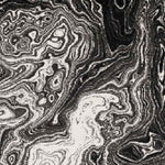 Bird Cove Modern Black Area Rug