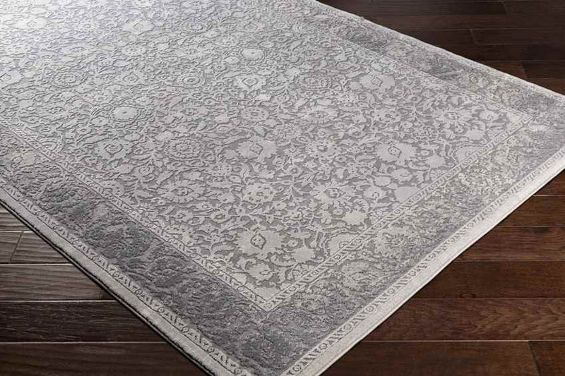 Lourdes Traditional Taupe Area Rug