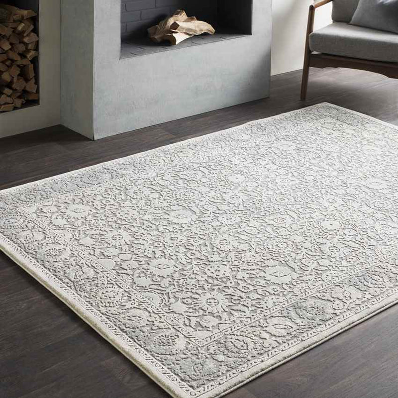Lourdes Traditional Taupe Area Rug