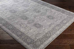 Paradise Traditional Taupe Area Rug