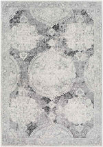 Placentia Traditional Light Gray Area Rug