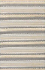 Falmouth Modern Light Gray Area Rug