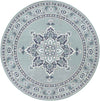 Lyla Traditional Aqua Area Rug