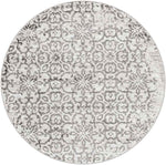 Dalmeny Traditional Light Gray Area Rug