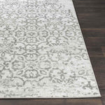 Dalmeny Traditional Light Gray Area Rug