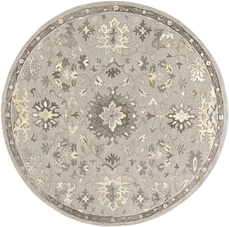 Ness Traditional Taupe Area Rug
