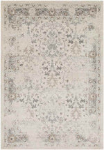 Harkezijl Traditional Charcoal Area Rug